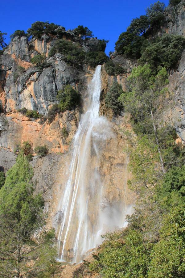Alojamiento Aguasblanquillas Coto Rios Exteriör bild