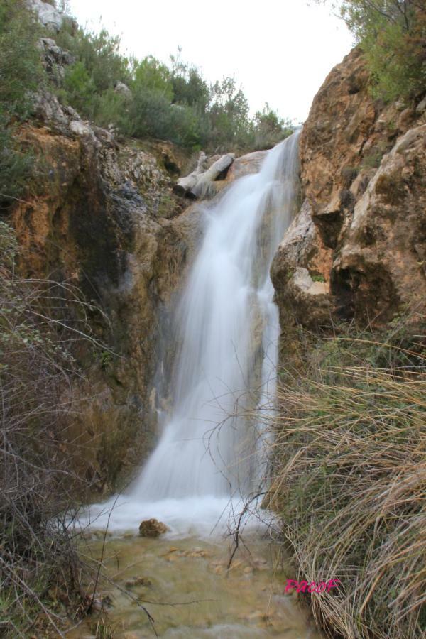 Alojamiento Aguasblanquillas Coto Rios Exteriör bild
