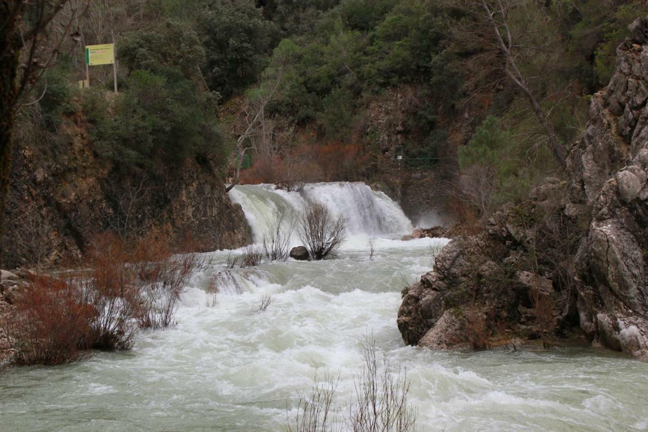Alojamiento Aguasblanquillas Coto Rios Exteriör bild