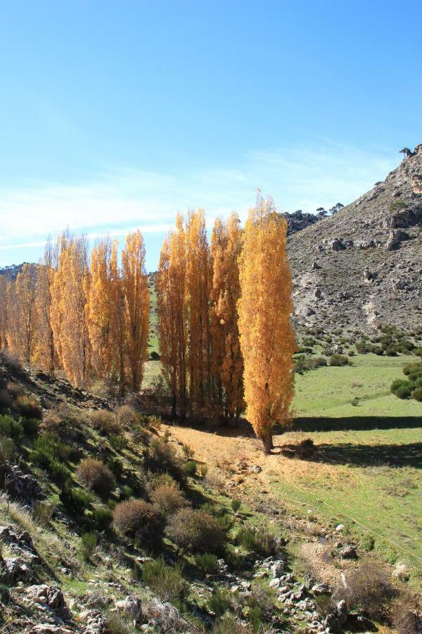 Alojamiento Aguasblanquillas Coto Rios Exteriör bild