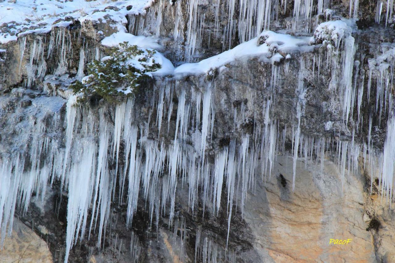 Alojamiento Aguasblanquillas Coto Rios Exteriör bild