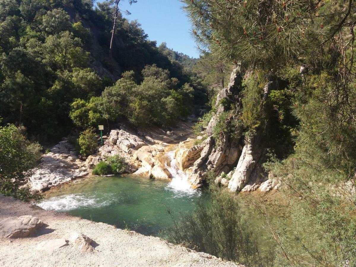 Alojamiento Aguasblanquillas Coto Rios Exteriör bild