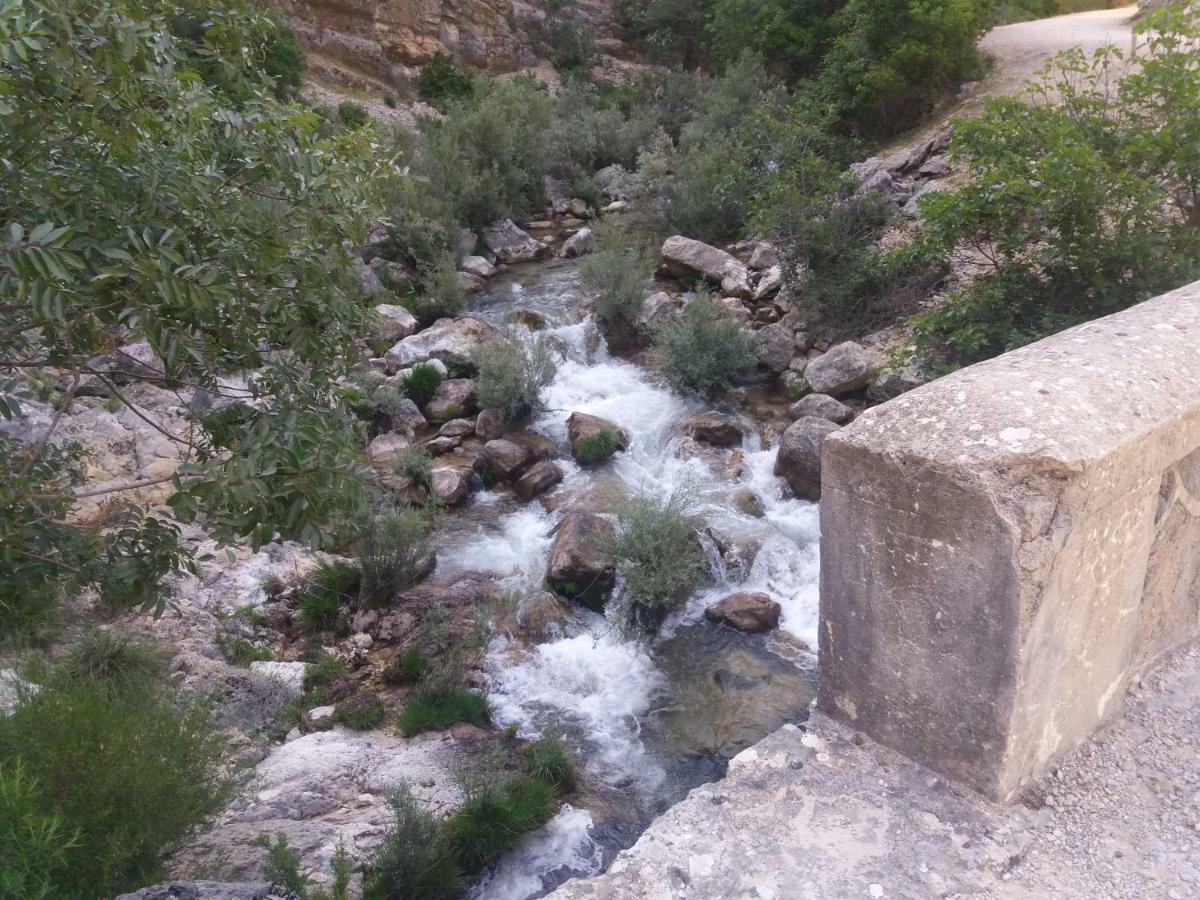 Alojamiento Aguasblanquillas Coto Rios Exteriör bild
