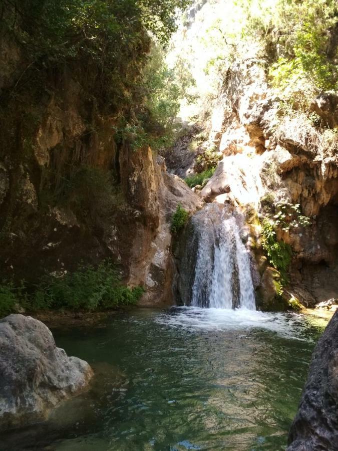 Alojamiento Aguasblanquillas Coto Rios Exteriör bild